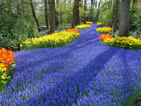 行车线多彩春天的花朵 — 图库照片