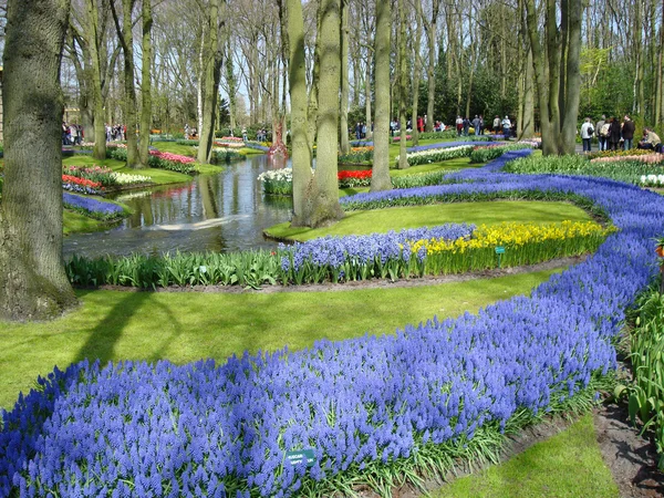 Bahar çiçekleri ile Doğa Manzaralı Bahçe — Stok fotoğraf