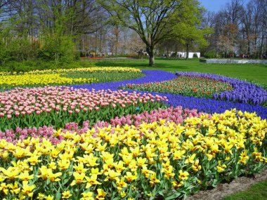 Field of colorful spring flowers clipart