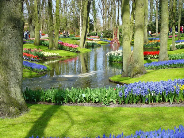 Красивый сад с весенними цветами — стоковое фото