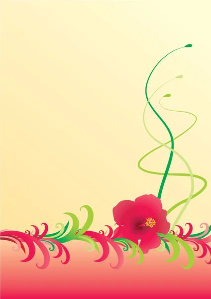 Ilustração da borda amarela do hibisco — Fotografia de Stock