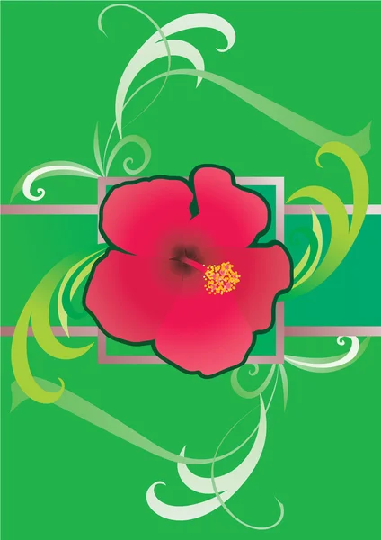 Ilustración de borde verde de hibisco — Foto de Stock