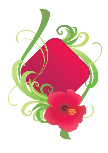 Ilustração em forma de rombo de hibisco — Fotografia de Stock