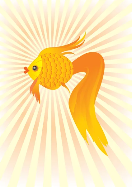 Guld fisk cartoon — Stockfoto