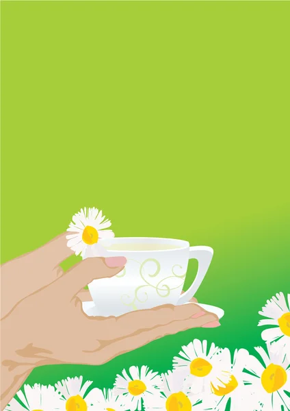 Herbata rumiankowa — Zdjęcie stockowe