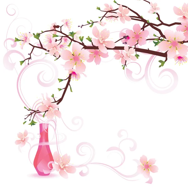 Sakura parfyme – stockfoto