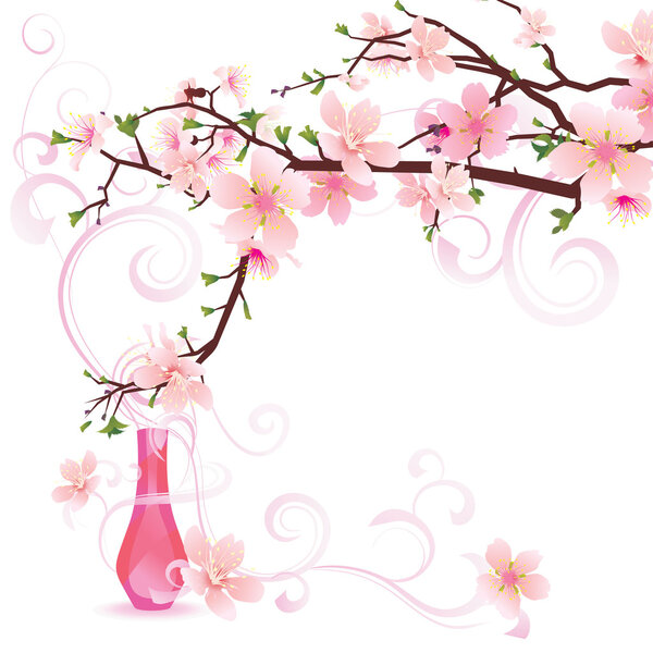Sakura parfume