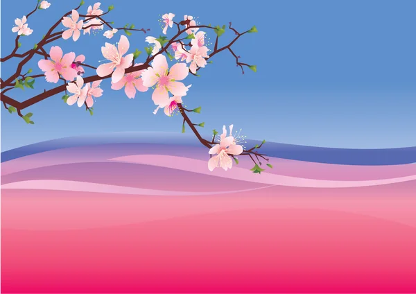 樱花粉红色紫罗兰色背景 — 图库照片