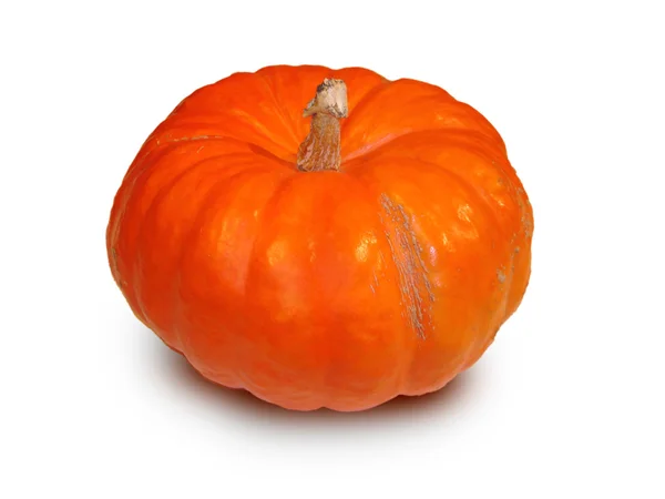 stock image Foto of orange bright color pumpkin