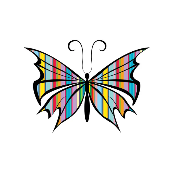 Rayures papillon — Photo