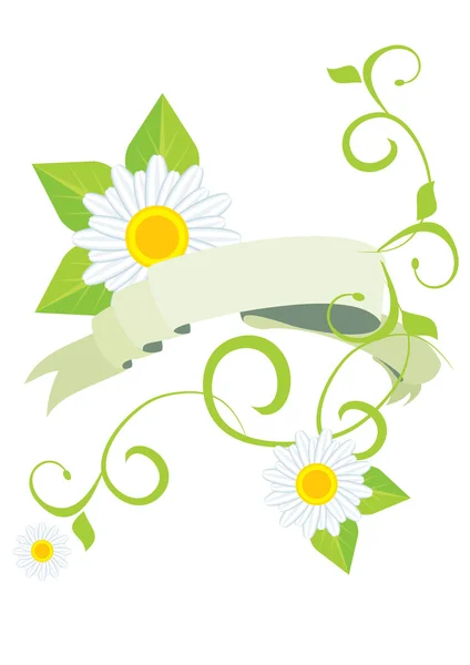 Daisy groene banner — Stockfoto