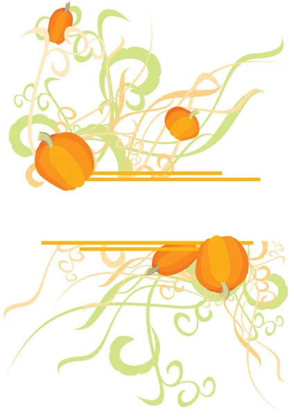 Pumpkin curves banner — Stock Photo, Image