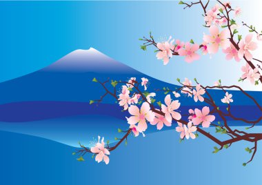 Fuji sakura Japonya