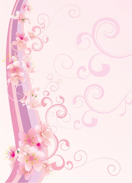 Růžový sakura pozadí — Stock fotografie