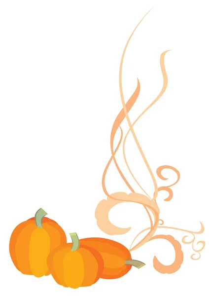 Ornamental pumpkin backdrop — Stock Photo, Image
