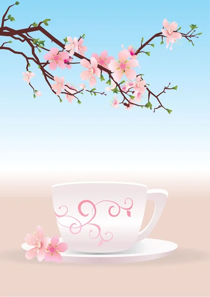 Káva a sakura — Stock fotografie