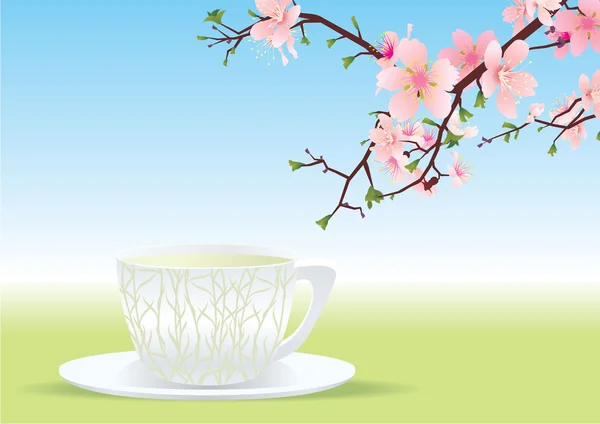 Sakura-Tee — Stockfoto