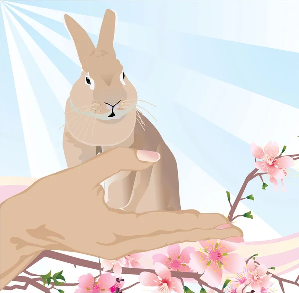 Easter bunny jn handen — Stockfoto
