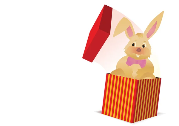 Bunny from the box — Stock Photo, Image