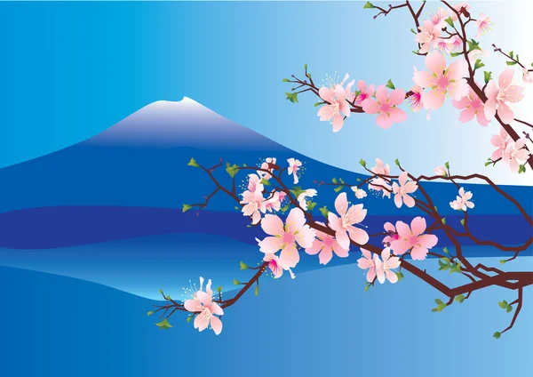 Japão fuji sakura — Fotografia de Stock