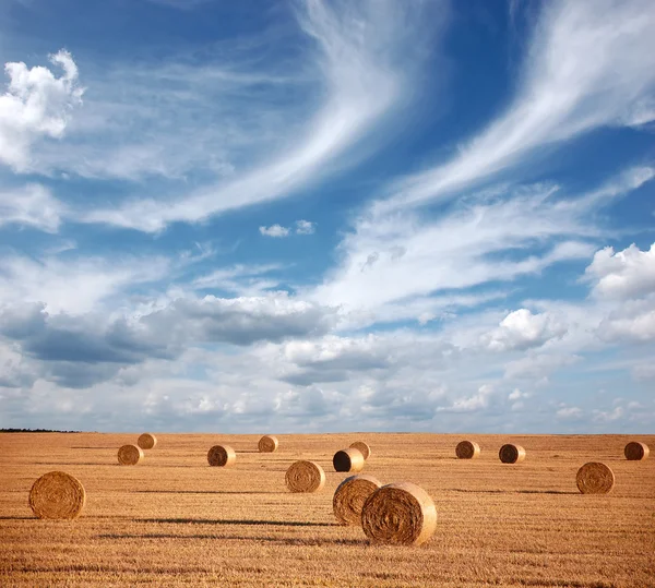 stock image Hay bales