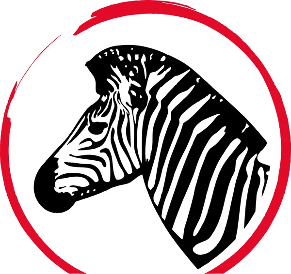 Zebra. —  Vetores de Stock