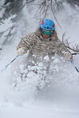 Freeride in Siberia clipart