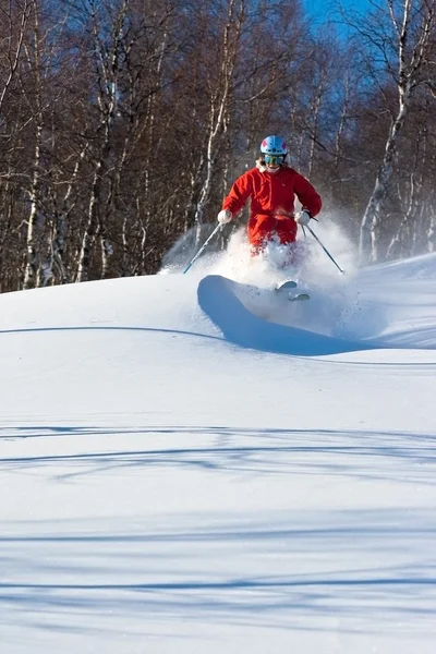 在西伯利亚的自由式滑雪 — 图库照片