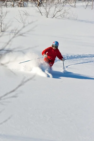 在西伯利亚的自由式滑雪 — 图库照片