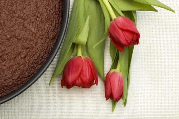 Čokoládový dort a květiny — Stock fotografie
