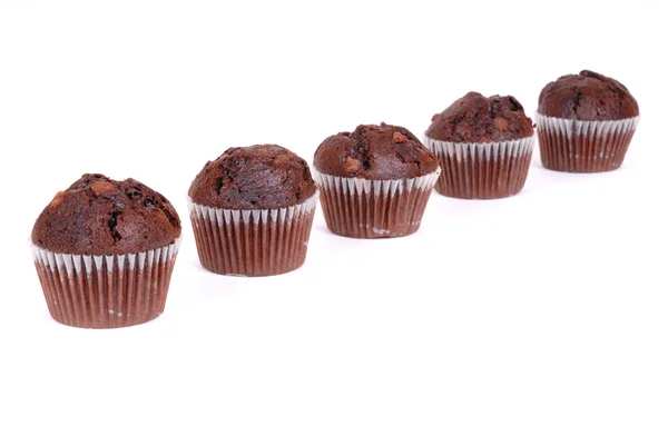 Chocolate cup cakes five — Stock Photo, Image