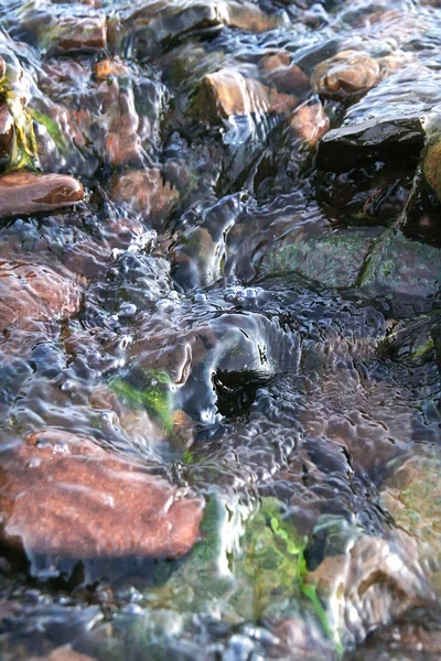 湿的岩 — 图库照片