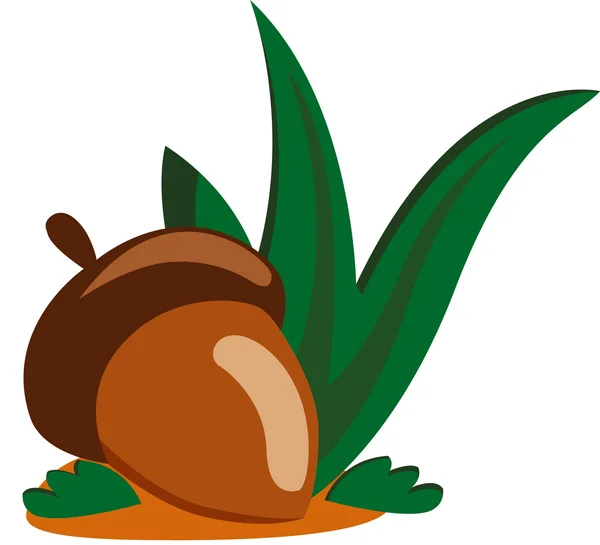 Acorn nut — Stock Vector