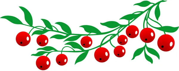 小红莓 — 图库矢量图片