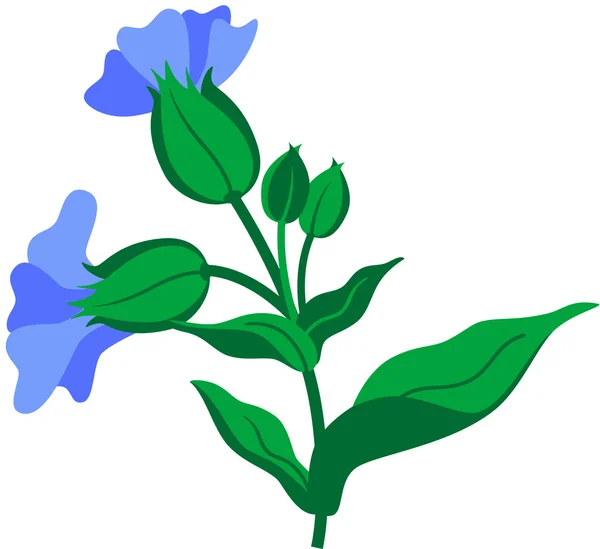 Květ — Stockový vektor