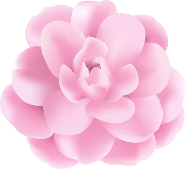 Rosa Blume — Stockvektor