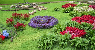 Flowerbed clipart