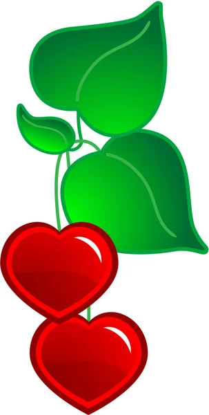 Hearts and leaf — Stock Vector