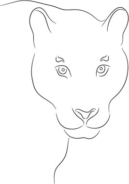 Lioness clipart