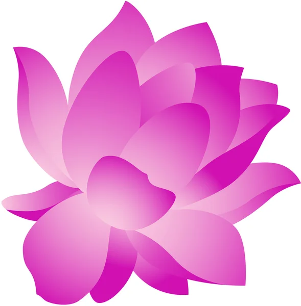 Lotus Flower — Stock Vector