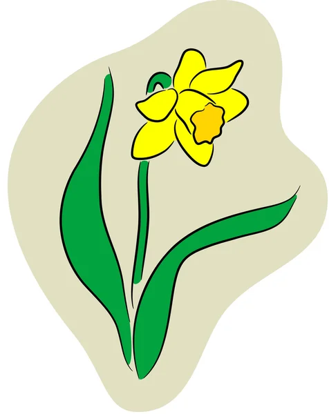 Logo Narciso — Vettoriale Stock