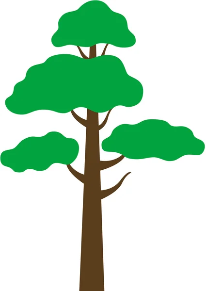 Дерево сосни — стоковий вектор