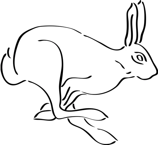 Kanin — Stock vektor