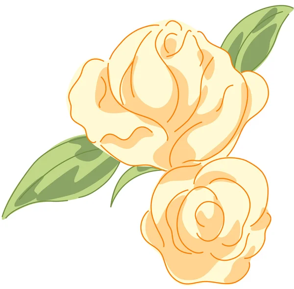 Rosa flor — Vetor de Stock