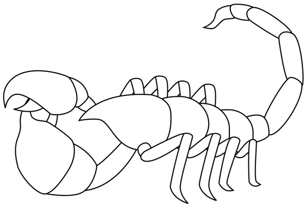 stock vector Scorpion