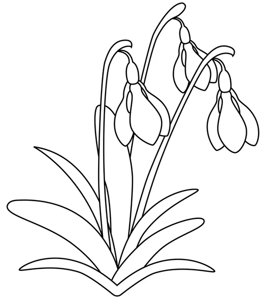Снежный цветок — стоковый вектор