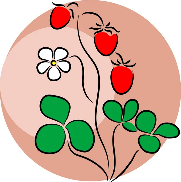 Полуниця логотип — стоковий вектор