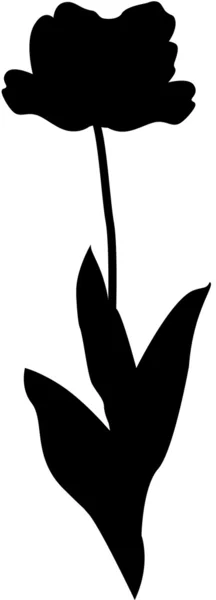 Tulip flower silhouet — Stockvector