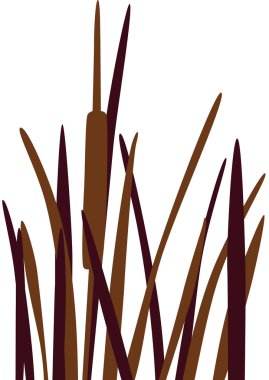 Reed clipart