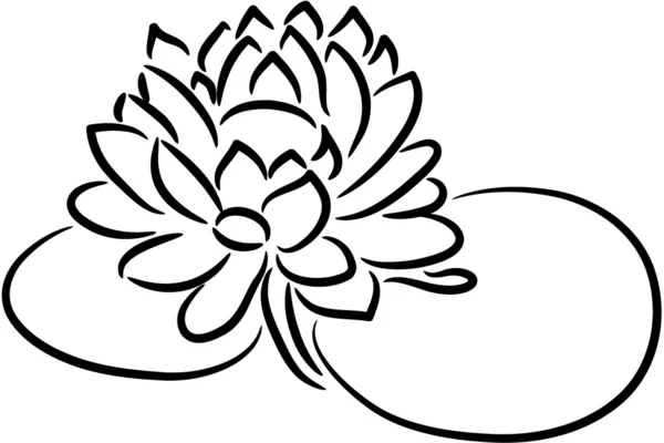 Fiore di loto — Vettoriale Stock